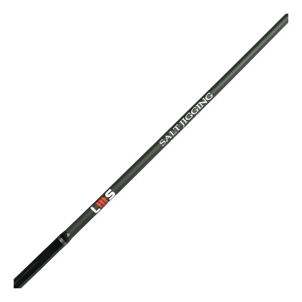 Vara Slow Lumis Salt Jigging PE 3  6'0 40 -150g Full Solid