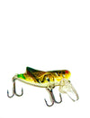 Isca Artificial  Inseto Artificial Grilo - Pescaria Marca Grife da Pesca - Foto 1 | Grife da Pesca