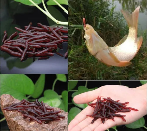 Minhoca Artificial de Silicone - Pescaria Marca Grife da Pesca - Foto 4 | Grife da Pesca